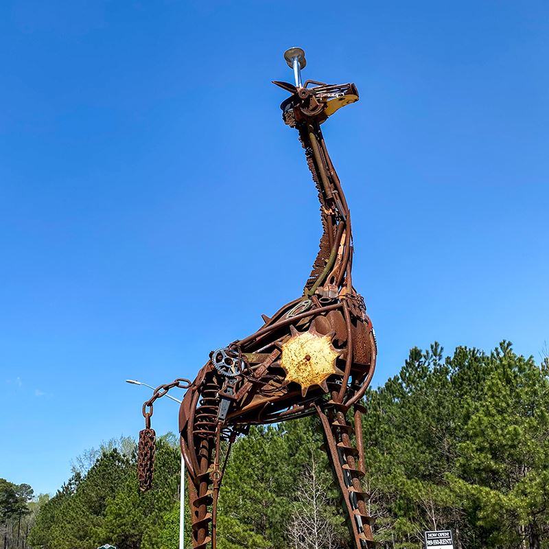 Colorful Giraffe